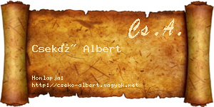 Csekő Albert névjegykártya