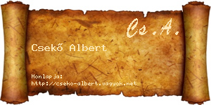 Csekő Albert névjegykártya